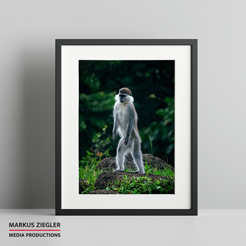 Stand up © Markus Ziegler Media Productions